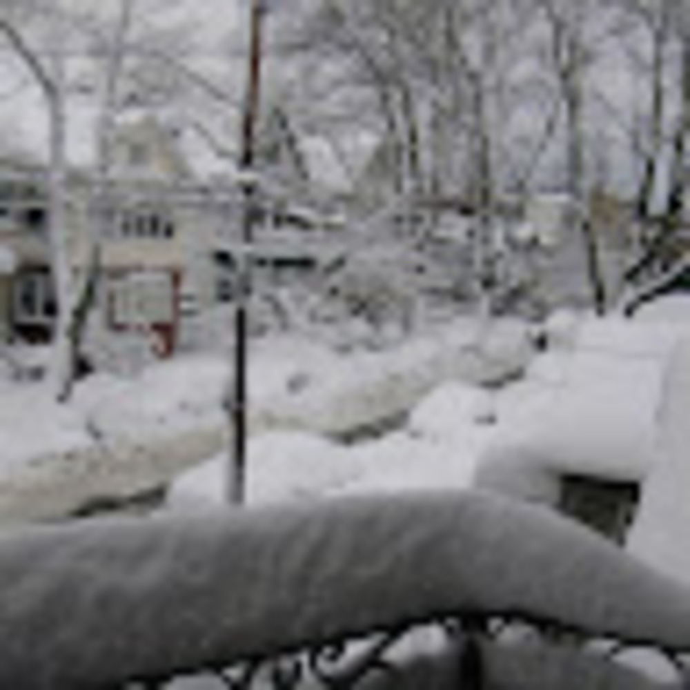 Meet your Posher, Giova